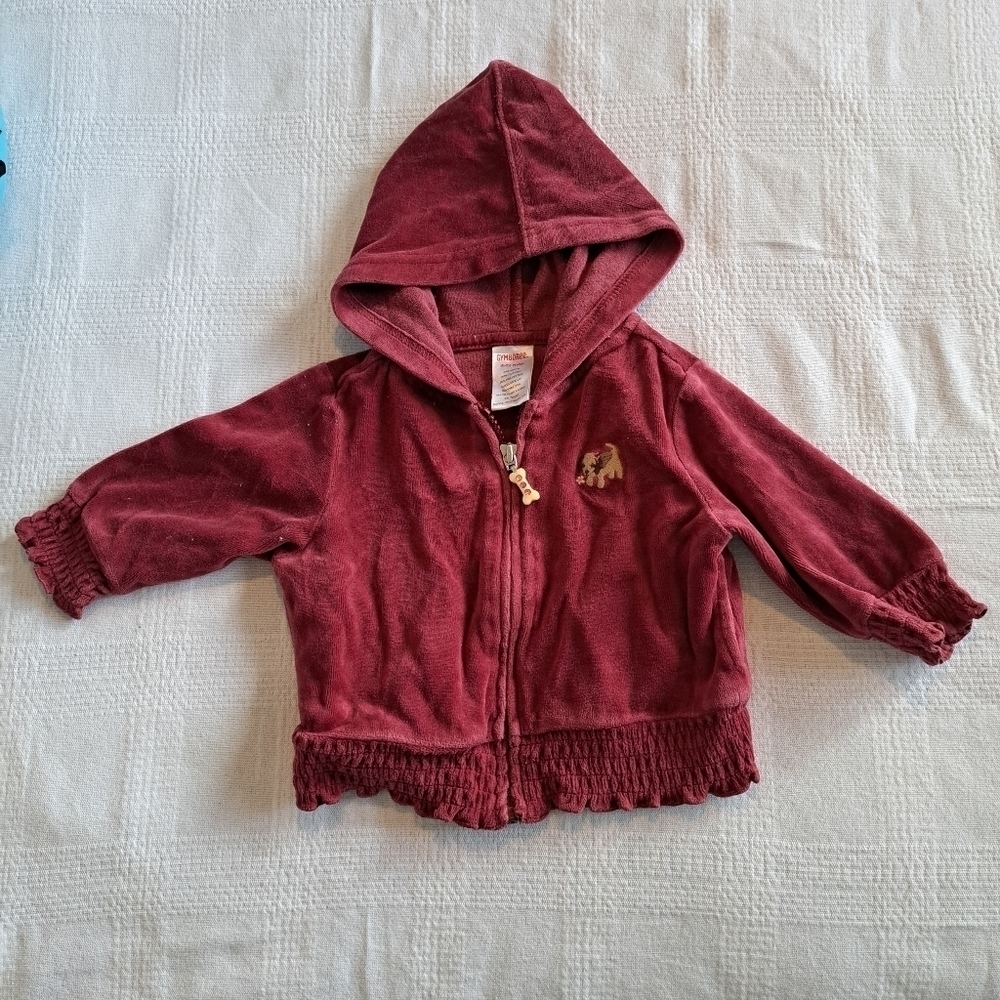 Gymboree velour hoodie Primrose Line 6-12 months